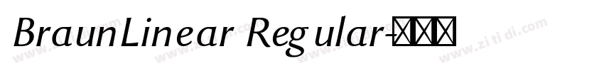 BraunLinear Regular字体转换